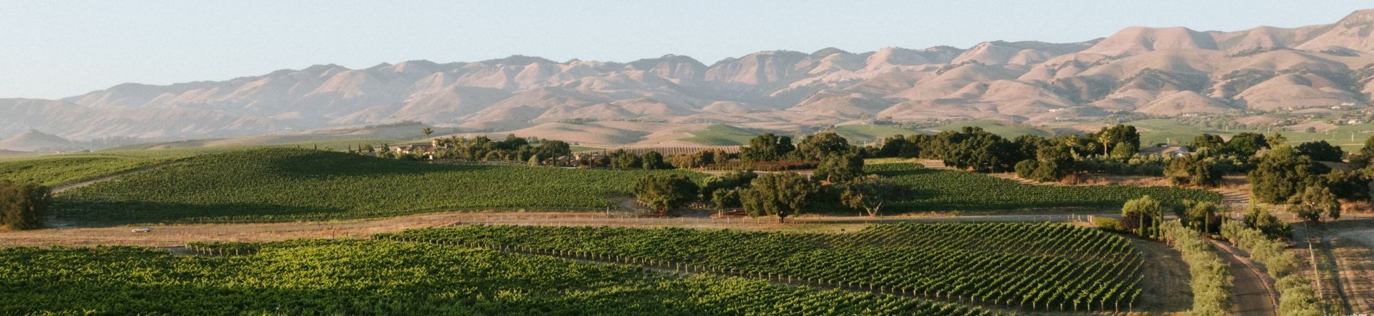 Center of Effort, Edna Valley and the Santa Lucias