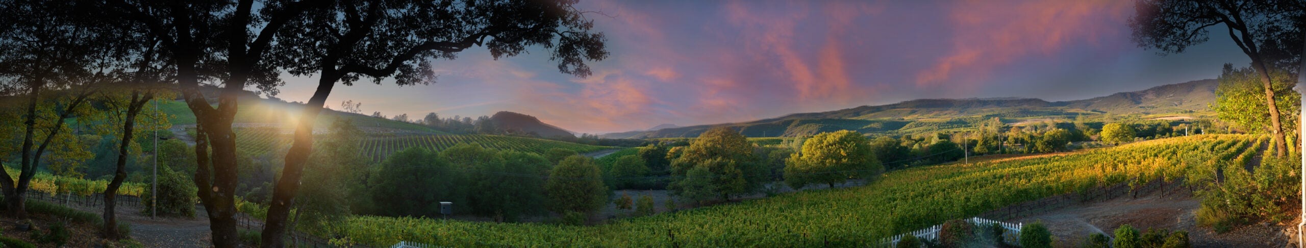Acumen, Atlas Peak panorama