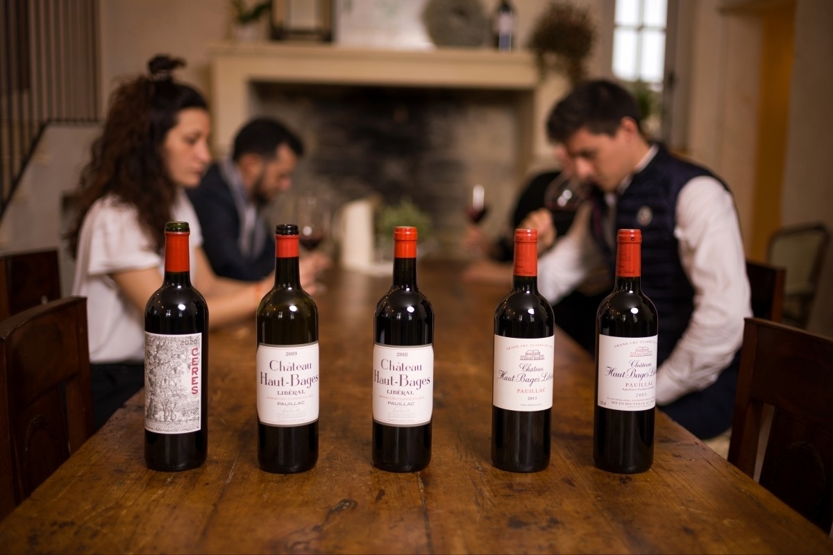 Chateau Haut-Bages Liberal vineyard rows