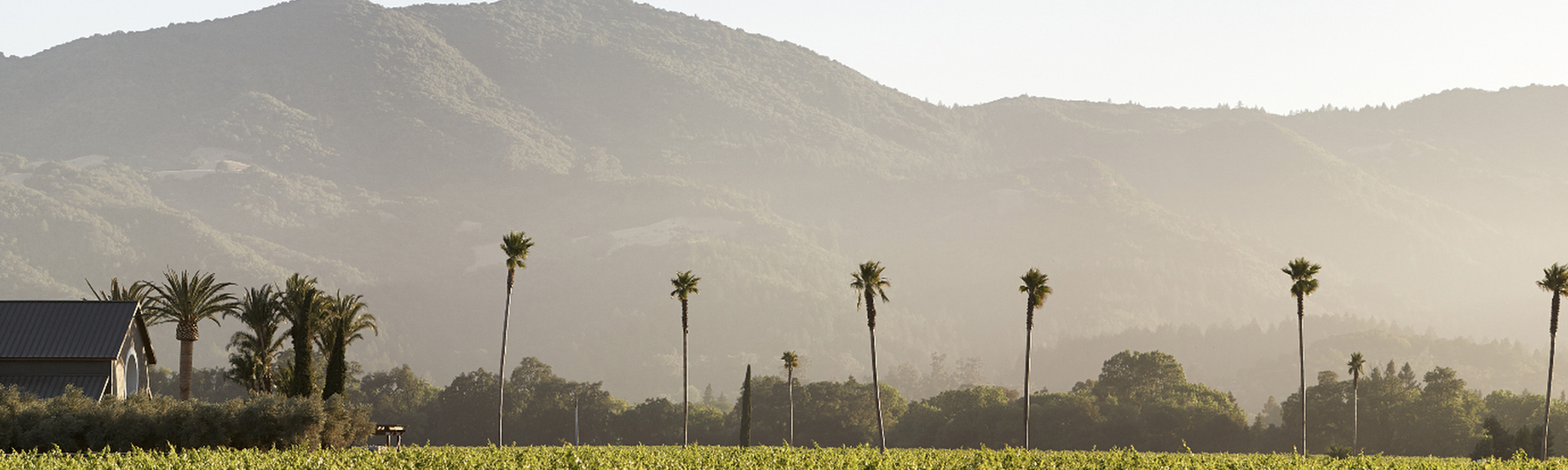 Napa Valley Superwide Panorama