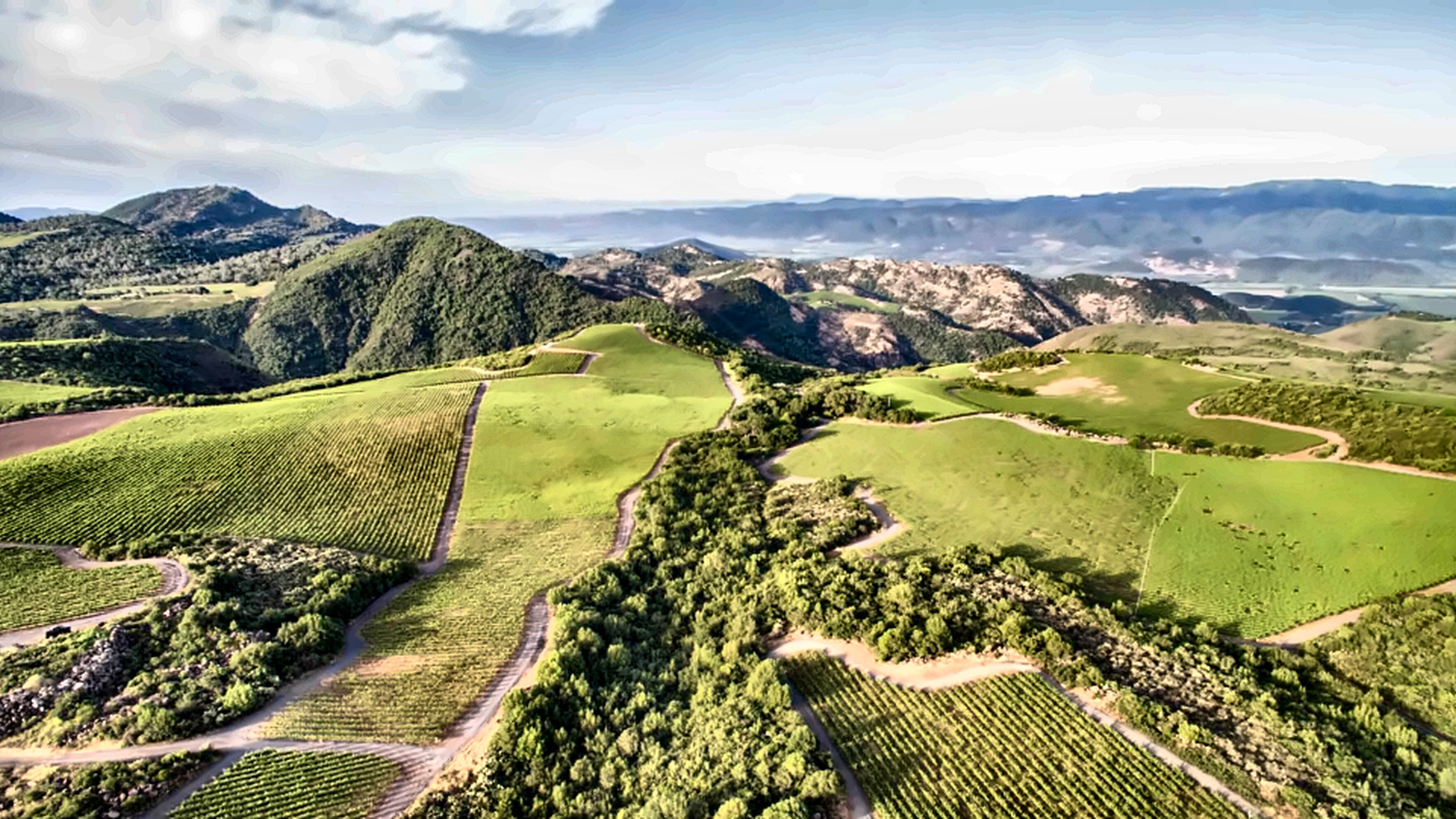Stagecoach Vineyard overlook