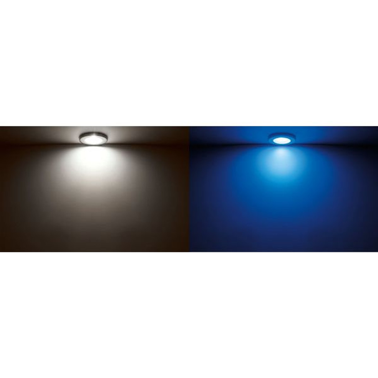 Quick Marine - Ted C Dual IP40 LED Downlight (Warm White/Blue, 2+2W, 10/30V, Satin) (FASP3352S0CCA00) - Apollo Lighting