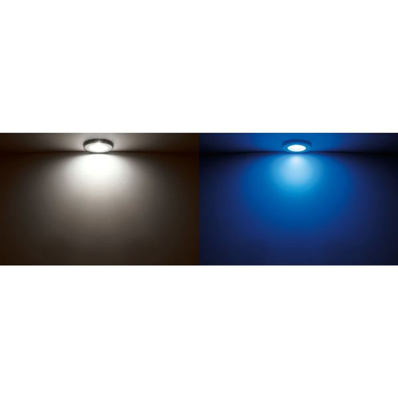 Quick Marine - Edwin C Dual IP40 LED Downlight (Daylight/Red, 2W, 10/30V, Stainless Steel) (FASP3432X0JCA00) - Apollo Lighting