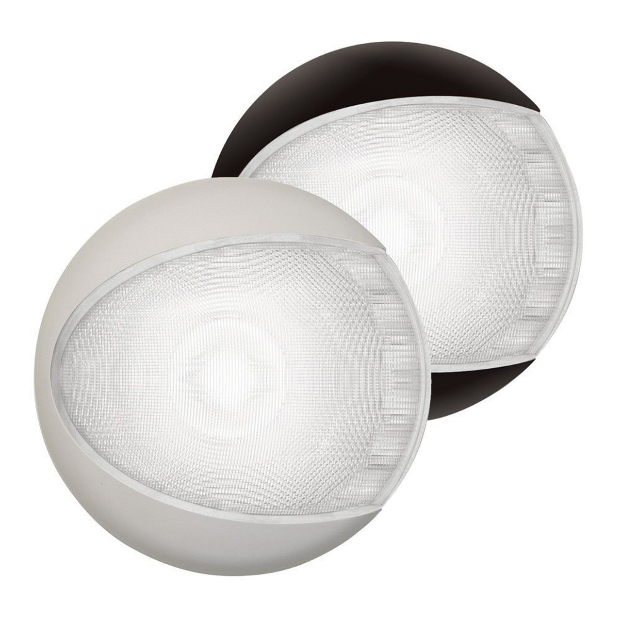 Hella Marine - White EuroLED Lamps - EuroLED - 4W, 5000K, 0.33A, IP6K6 - Apollo Lighting