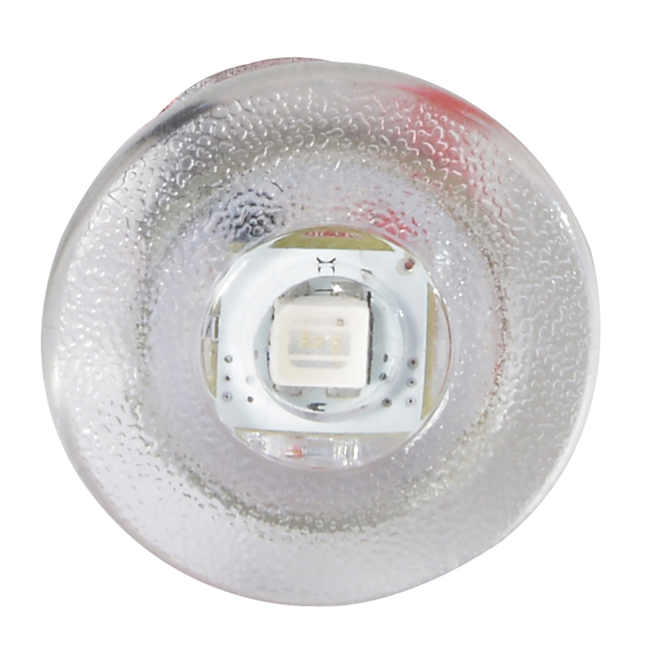 Lumitec - Newt - Baitwell Light - IP67, 10-16V, 0.55W, 45Lm - Apollo Lighting