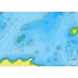 Navionics - Platinum+ NPUS007R U.S. East microSD