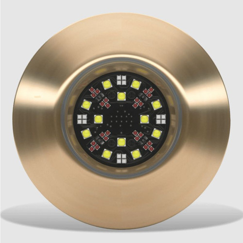 Lumishore - TIX803-CCP Underwater Light - 10W, 10.5-31V, IP68