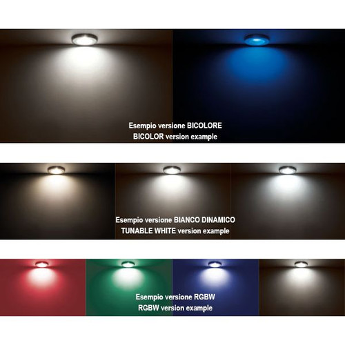 Quick Marine - Chiara DL85 LED Downlight (Warm White/Blue, 10/30V, 6W, Stainless Steel) (FASP2872X17CE00)