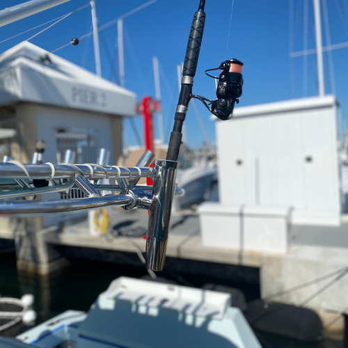 TACO Marine Clamp-On Adjustable Rod Holder, Type-316L Stainless Steel, 1-5/8 in ID - Apollo Lighting