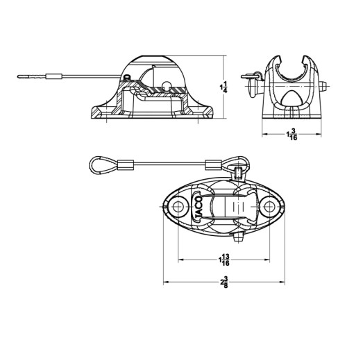 TACO Marine Deck Hinge with Pin & Lanyard, Type 316L SS, Flat Mount - Apollo Lighting