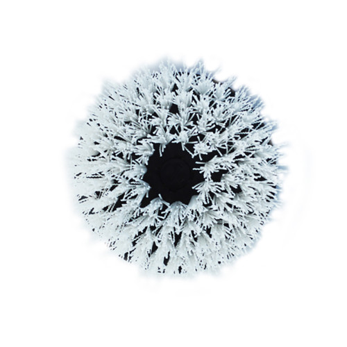 Shurhold - Brush For Dual Action Polisher