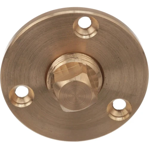 Attwood Marine Garboard Drain Plug, 1/2 in NPT, Cast Bronze