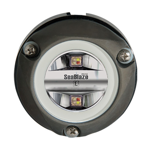 Lumitec - Zambezi Mini Surface Mount Underwater Light - Spectrum RGBW, PLI Enabled - Apollo Lighting