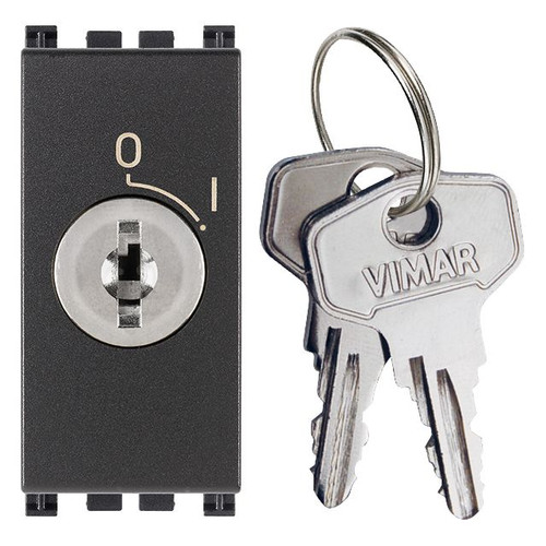 Vimar ARKÉ 2P NO Key-Operated Push Button, 16A, 250V, IP40 - Apollo Lighting