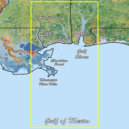 Garmin Standard Mapping Mississippi Sound Professional microSD/SD Card - Apollo Lighting