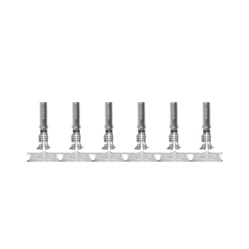 Pacer DTP Deutsch Socket f/10 AWG Wire - Size 12 Contact (10 Pack) T10DTP-S-10