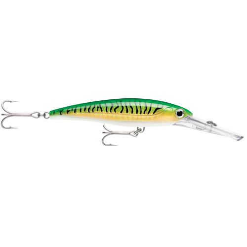 Rapala X-Rap® Magnum® 30 Gold Green Mackerel XRMAG30GGM - Apollo Lighting