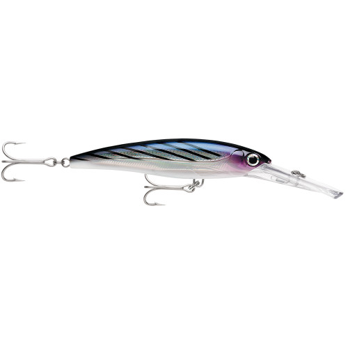 Rapala X-Rap® Magnum® 20 Bonito XRMAG20BTO - Apollo Lighting