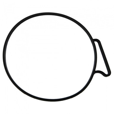Volvo Penta Gasket - Volvo Penta (3889782)