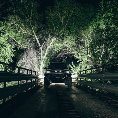 RIGID Industries - Radiance Scene Lights - 30W, 9-15V, IP68