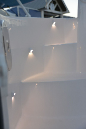 Lumitec Andros LED Courtesy Light, 10-16V, IP67, SS316, 1 x 1 in