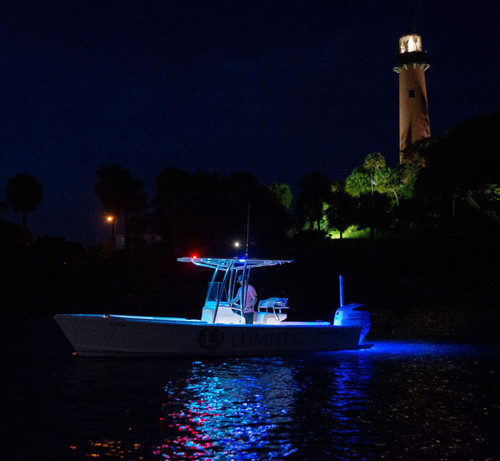 Lumitec SeaBlaze Quattro LED Underwater Light, 10-30V DC, IP68, 2000+ Lumens, Bronze Housing, Surface Mount