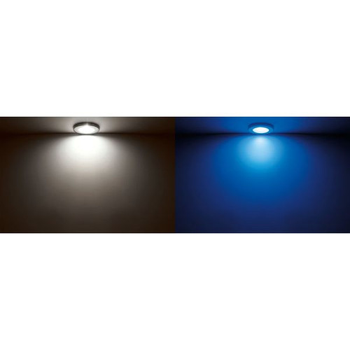 Quick Marine - Ted C Dual IP66 LED Downlight (Warm White/Blue, 2+2W, 10/30V, White 9010) (FASP3352B1CCA00) - Apollo Lighting