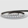 Lumishore - ECLIPSE Strip Light SL100 - 6W, 12V, IP68, 0.5A, 60 pcs - Apollo Lighting