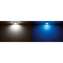 Quick Marine - Edwin C Dual IP40 LED Downlight (Warm White/Blue, 2+2W, 10/30V, Satin) (FASP3432S0CCA00)