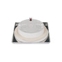 Quick Marine - Bryan C IP66 LED Downlight (10/30V, Stainless Steel)