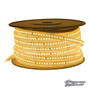 Plash - Harsh Environment LED Strip Light - 110V, IP68, Cool White, 6000K, 1ft (FLS-110V-2700K-1FT)