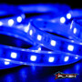 Plash - Waterproof Flexible Light Strip - IP68, 12V, Blue, 24ft (FLS-BL-68-24FT) - Apollo Lighting