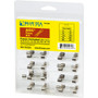 Blue Sea Systems AGC Fuse Kit, 41-Piece, 32V DC, Heavy Duty In-Line Fuse Holder - Apollo Lighting