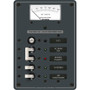 Blue Sea Systems ELCI Main Circuit Breaker Panel, 30A Double Pole, 120V AC, 30mA Leakage Trip