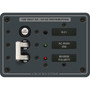 Blue Sea Systems ELCI Main Circuit Breaker Panel, 30A Double Pole, 120V AC, 30mA Leakage Trip