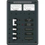 Blue Sea Systems AC Main + 3 Positions Circuit Breaker Panel, 120V AC, 30A Main, 3 x 15A Branch Breakers, Analog Volt and Amp Meters