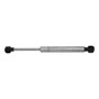 Attwood Marine Stainless Gas Spring, 10 in Extended, 60 lb, 10mm Socket - Apollo Lighting