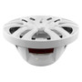 DS18 - HYDRO 10" 2-Way Marine Speakers - With Bullet Tweeter Integrated RGB LED Lights