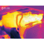 FLIR Systems - MTMS Thermal Camera