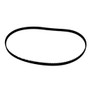 Scotty Depthpower Drive Belt One 1129