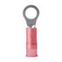 Ancor 22-18 AWG - #10 Nylon Ring Terminal - 100-Pack 220203