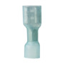 Ancor 16-14 Female Disconnect Heat Shrink Blue 25 Pack 317825