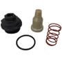 Brp Thermostat & Cover Assembly (435597)