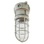 Hubbell NVX15GHGA Ceiling Mount Vaportight Light Fixture NVX15GHGA