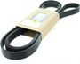 Volvo Penta Drive Belt - Volvo Penta (3862614)