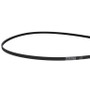 Volvo Penta V-Ribbed Belt - Volvo Penta (21160912)
