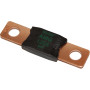 Blue Sea Systems MEGA/AMG Fuse, For AMG Fuse Blocks, 70V DC, Ignition Protected, 2500A Interrupt Capacity - Apollo Lighting