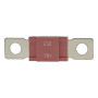Blue Sea Systems MEGA/AMG Fuse, For AMG Fuse Blocks, 70V DC, Ignition Protected, 2500A Interrupt Capacity - Apollo Lighting