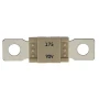 Blue Sea Systems MEGA/AMG Fuse, For AMG Fuse Blocks, 70V DC, Ignition Protected, 2500A Interrupt Capacity