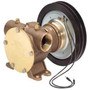 Jabsco 11870 Series Electro-Magnetic Clutch Pump, 1-1/4 in NPT, 62 GPM, Bronze